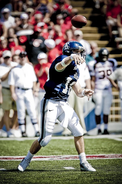 解析案例 解析案例